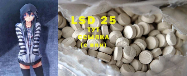 PSILOCYBIN Алзамай