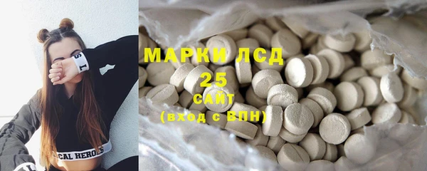 мет Алексин