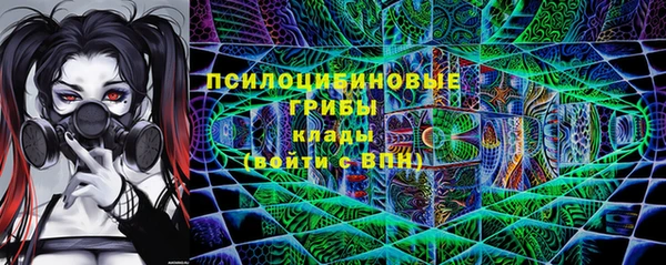крисы Алексеевка