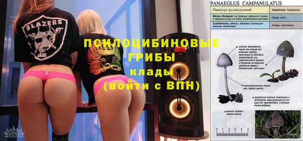 PSILOCYBIN Алзамай